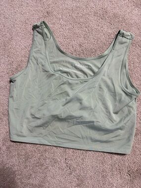 Larken X Pumping/Nursing Bra - Sage
